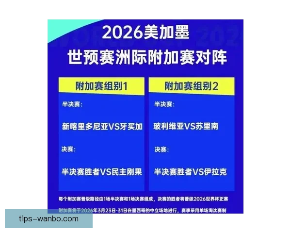 2026年世界杯预赛新规则揭晓 各队备战进入关键阶段